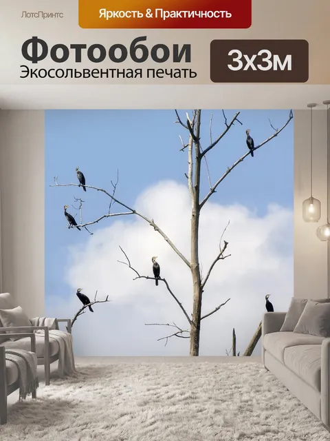 Фотообои Бакланы