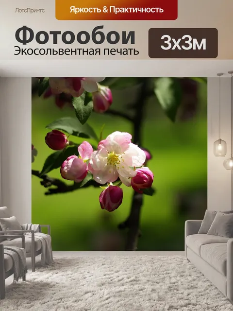 Фотообои Природа