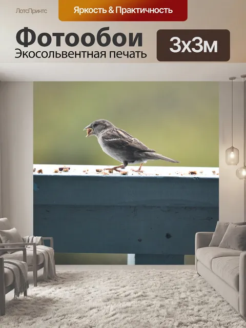 Фотообои Воробей с кусочком еды