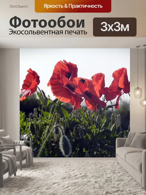 Фотообои Цветы