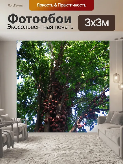Фотообои пушечное дерево с фруктами