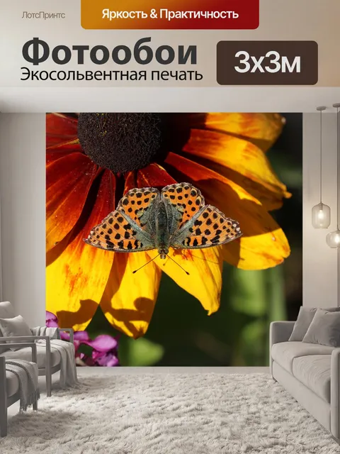 Фотообои Бабочка