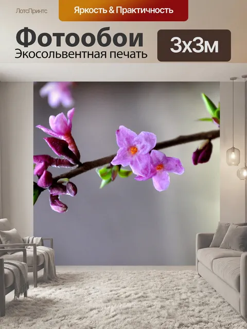 Фотообои Волк лев