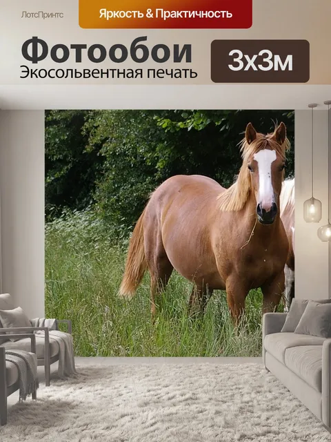 Фотообои Луга