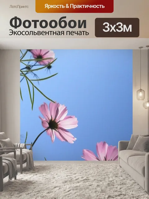 Фотообои Космея