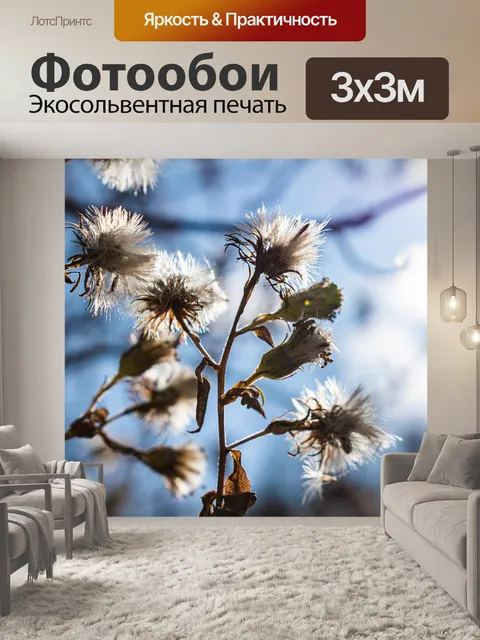 Фотообои Одуванчик
