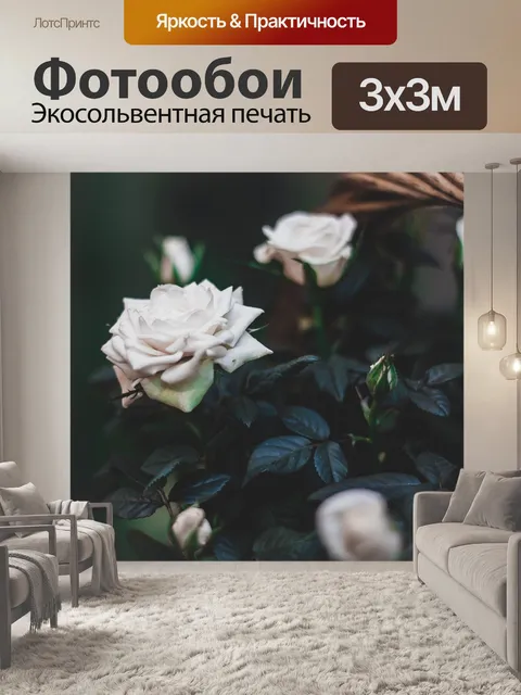 Фотообои Роза