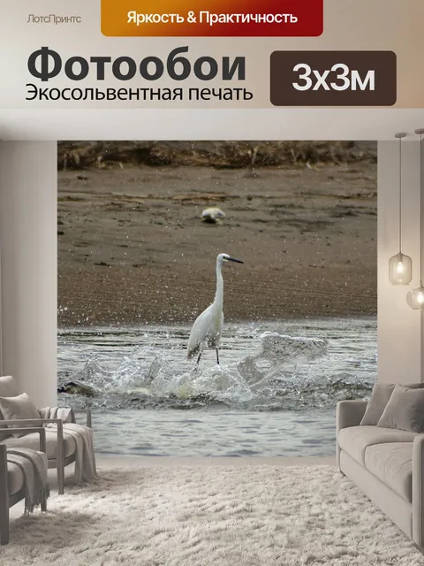 Фотообои Животное