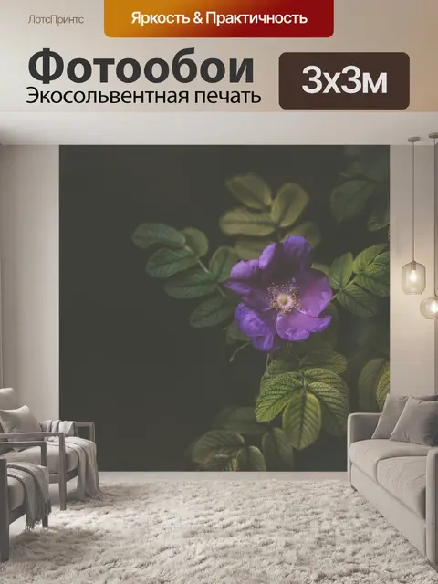 Фотообои Фиолетовый