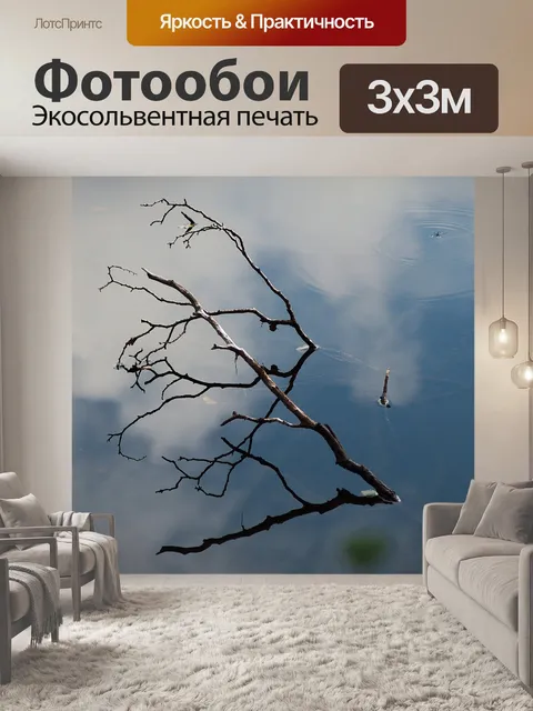 Фотообои Ветвь