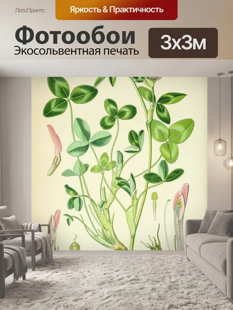 Фотообои Иллюстрация старинных цветов клевера