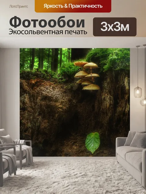 Фотообои Гриб