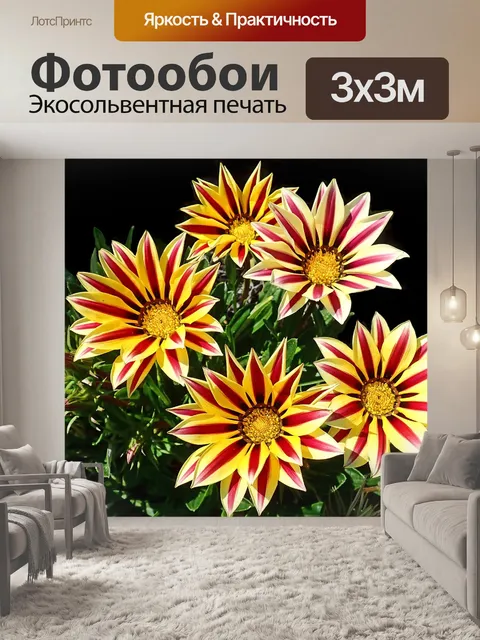 Фотообои Цветы