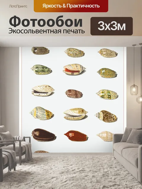 Фотообои Ракушки винтаж искусство старый