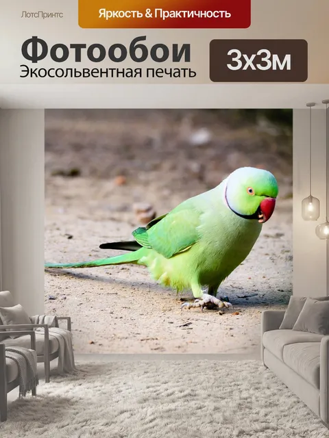 Фотообои Птица
