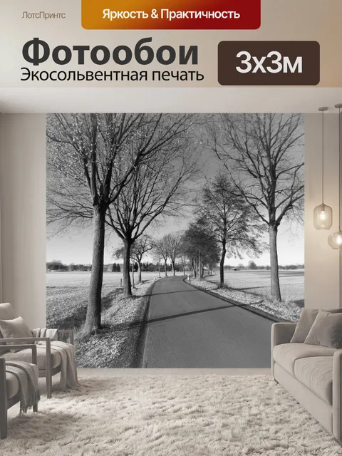 Фотообои Проселочная дорога