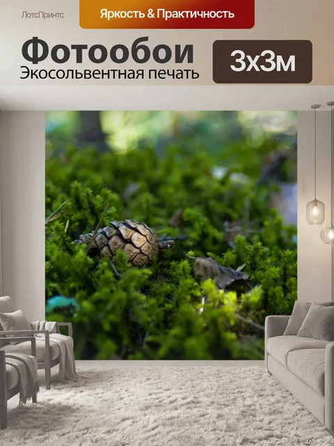 Фотообои Лес