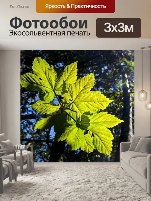 Фотообои Листья