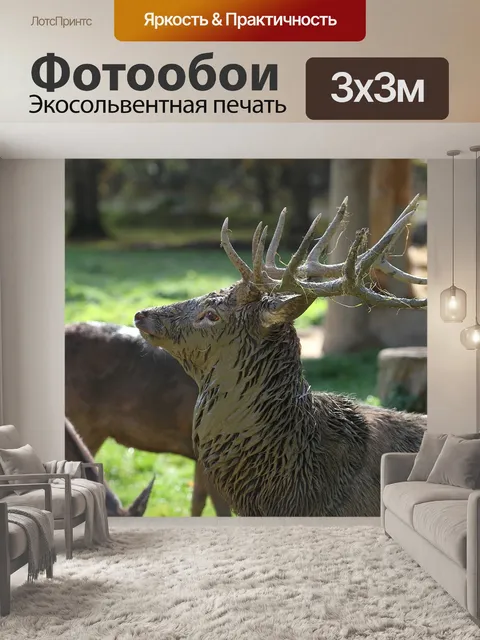 Фотообои Олень