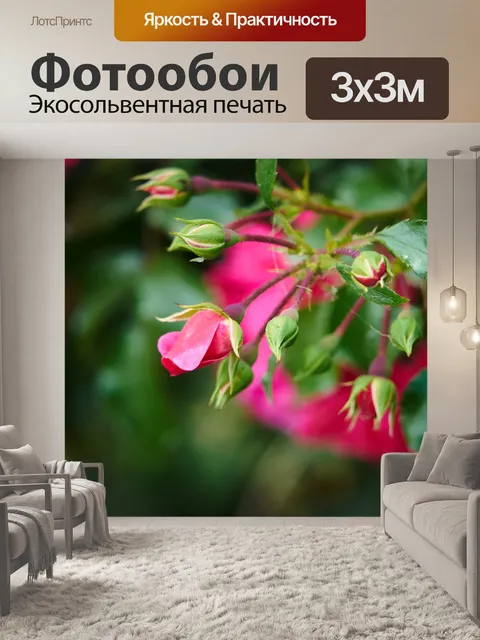 Фотообои Букеты из роз