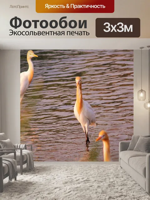 Фотообои Птица