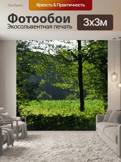 Фотообои Лес