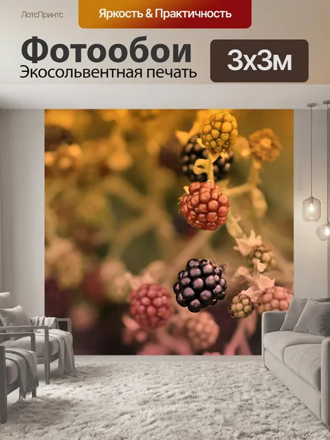 Фотообои Ежевика