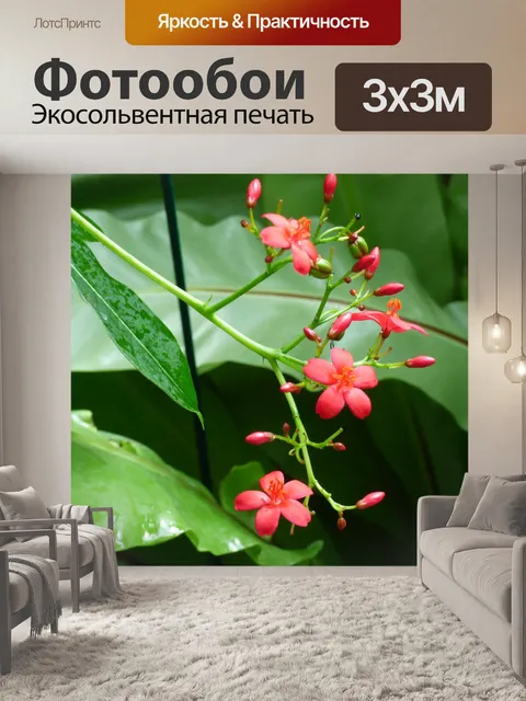 Фотообои Маленькие розовые цветы