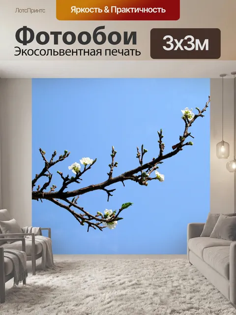 Фотообои белые цветы
