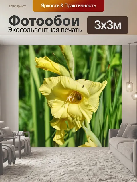 Фотообои Цветы
