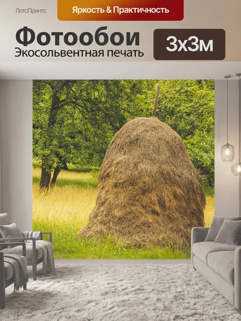 Фотообои Старая модная сена