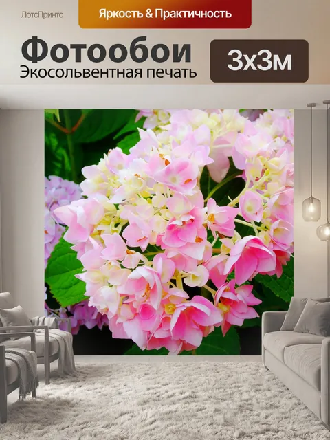 Фотообои Гортензии