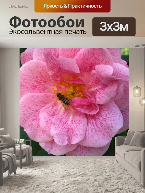 Фотообои Роза