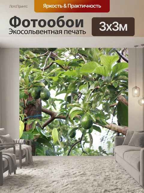 Фотообои Фрукты