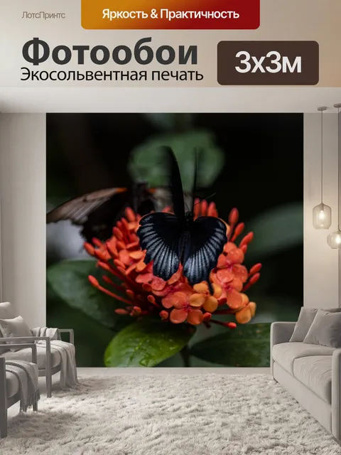 Фотообои Большая мормонская бабочка