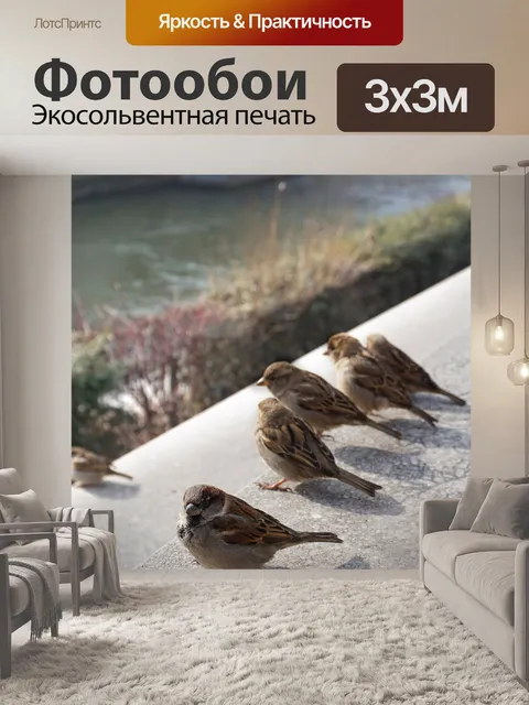 Фотообои Птицы