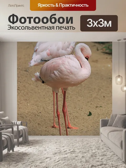 Фотообои Фламинго
