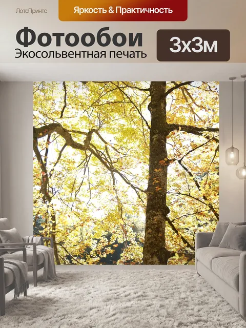 Фотообои Дерево