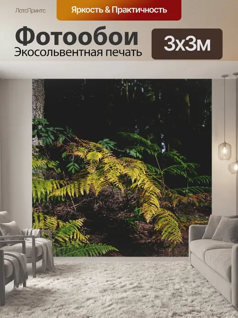 Фотообои Лес