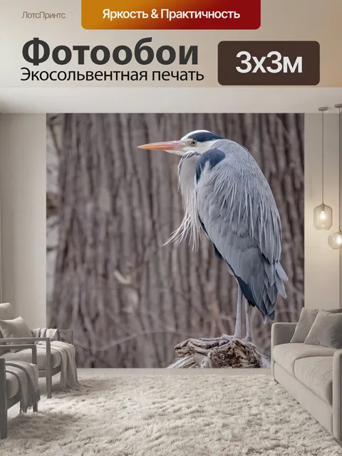Фотообои Птица