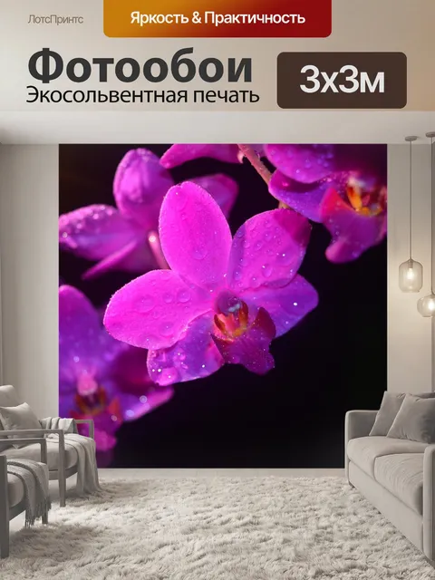 Фотообои Орхидея