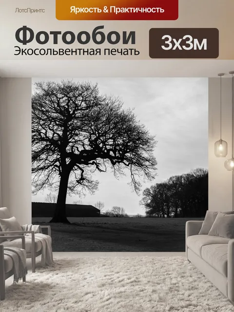 Фотообои Пейзаж
