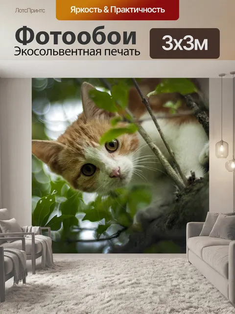Фотообои Зоопарк