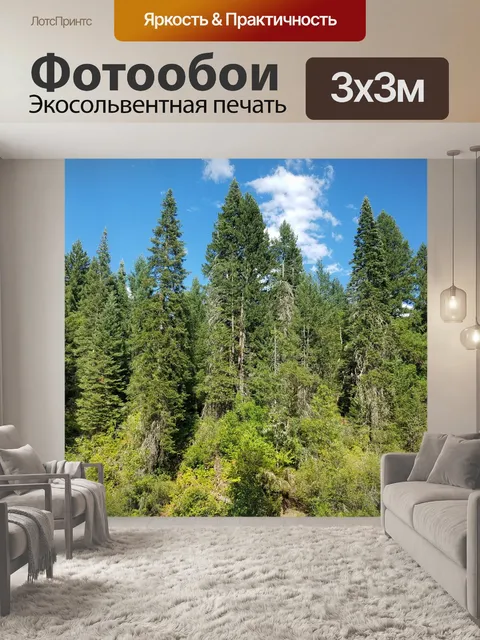 Фотообои Лес