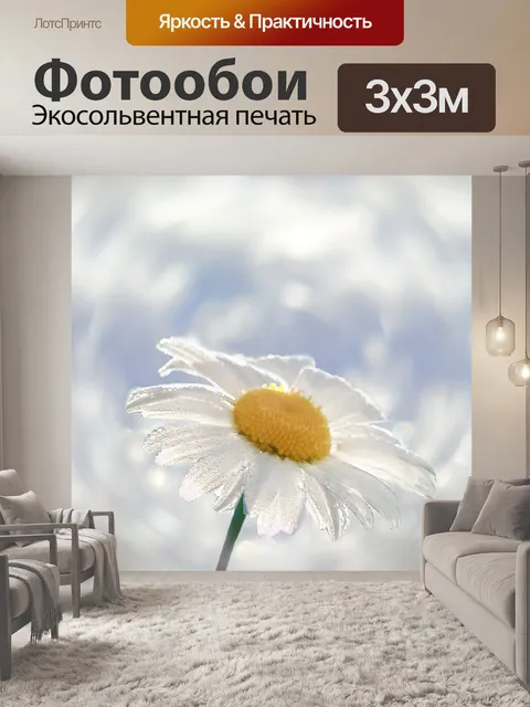 Фотообои Маргаритка