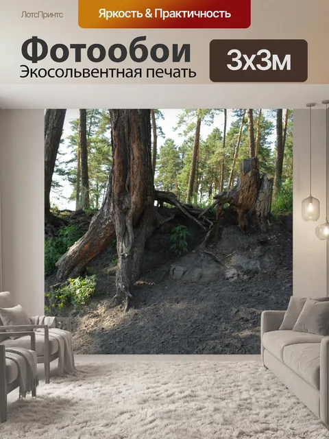 Фотообои Корни деревьев