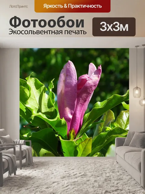 Фотообои Цветок