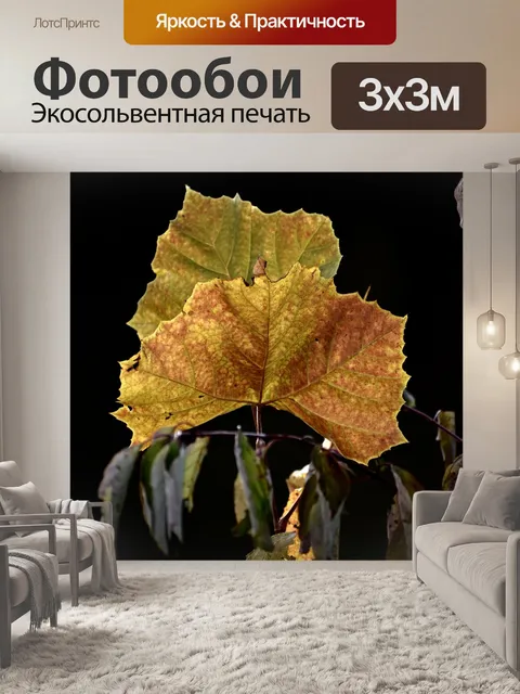 Фотообои Листья