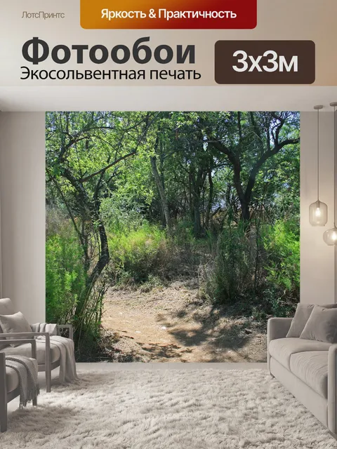 Фотообои песчаная дорога, проходящая через чащу