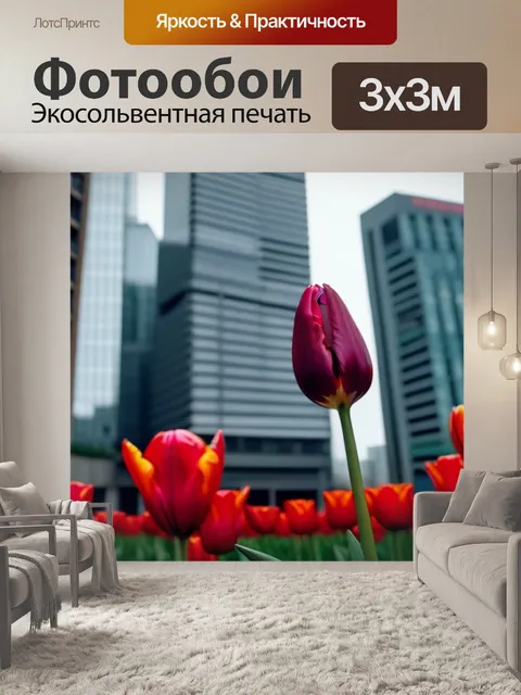 Фотообои тюльпан грация на фоне городских зданий